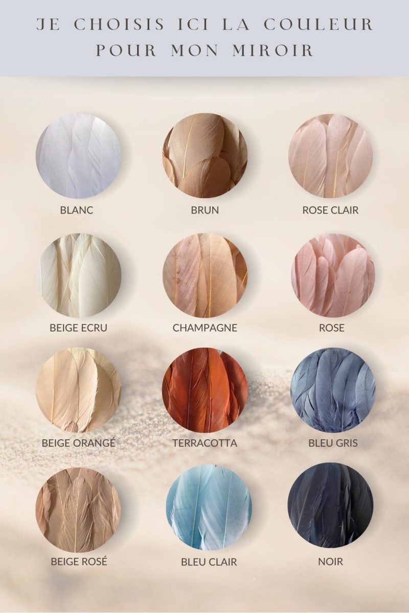 Nuancier de 12 couleurs de plumes naturelles pour personnaliser un miroir mural